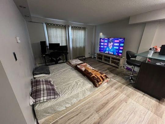 Cliff Bungalow Basement Unit – Open Layout, In-Unit Laundry, Prime Location - Photo 1