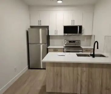 Modern and Spacious 1 Bedroom Basement Suite - 1200 monthly for ren... - Photo 1