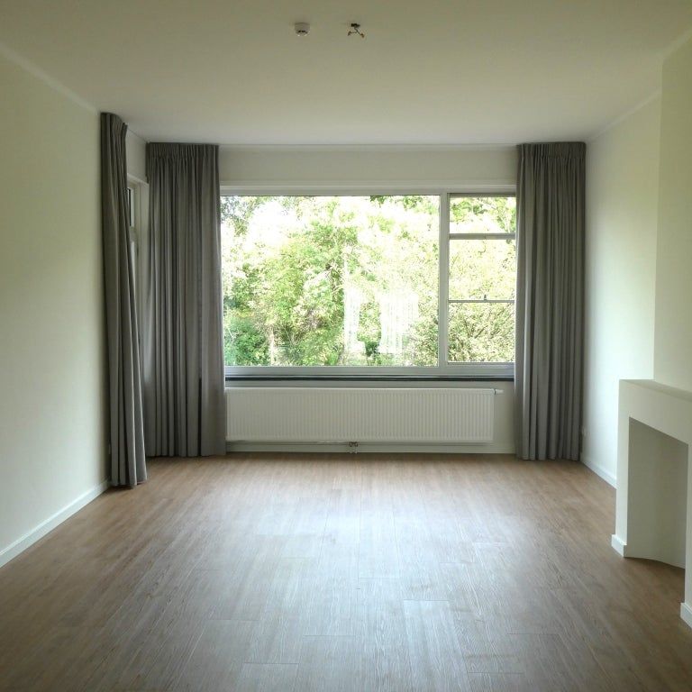 Te huur: Appartement Carel Reinierszkade in Den Haag - Foto 1