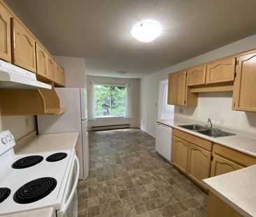 Mayfair Village West 2BD/1.5BA - Photo 3