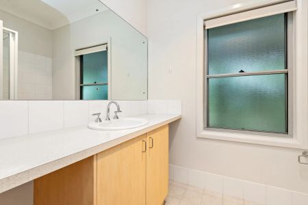 Immerse Yourself in Vineyard Life - Photo 4