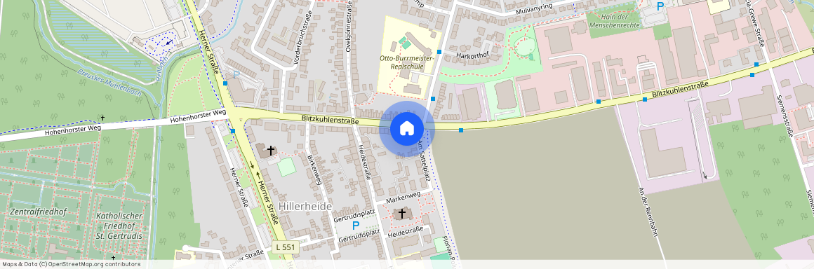 Blitzkuhlenstr. 46, 45659 Nordrhein-Westfalen - Recklinghausen