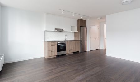 183 East Georgia Street, Vancouver - Photo 5