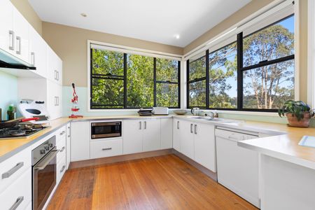41A Evelyn Crescent, Berowra Heights NSW 2082 - House For Rent | Domain - Photo 3