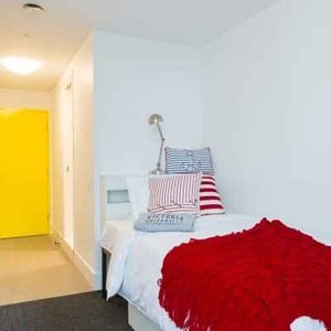 Studio Regular Apartment - Photo 2