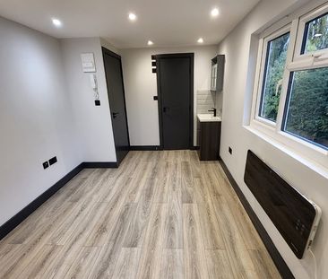 Studio Flat, Glenister Park Road, SW16 - Photo 6