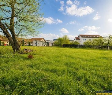 Casa cu 1.924 mp teren, de inchiriat, Sfantu Gheorghe - Photo 3