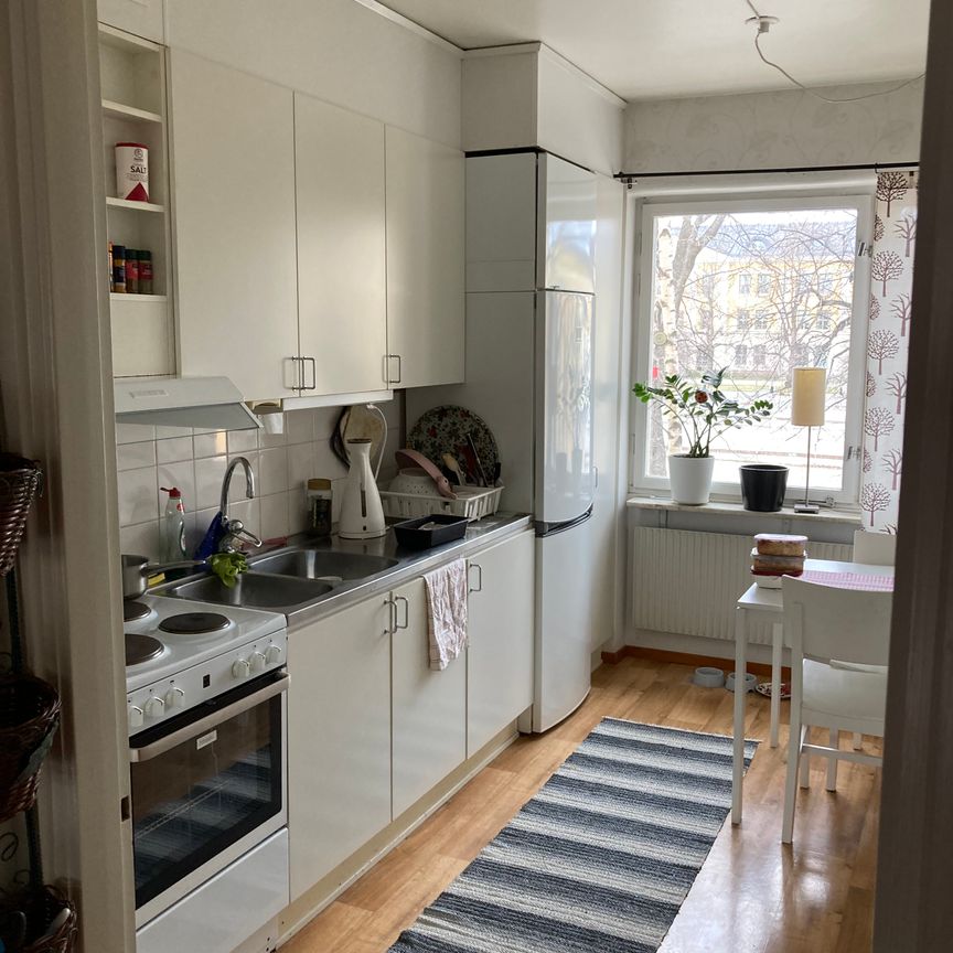 Skolgatan, Umeå - Photo 1
