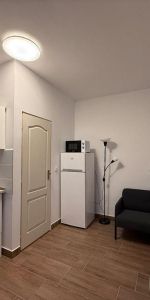 Apartament de inchiriat in Piata Unirii la 2 minute de Facultatea de Medicina - Photo 3