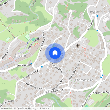 AV 15 /Lion - 111, 1972 Anzère