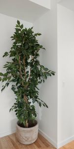 Moderne boliger i smukke omgivelser - Photo 4