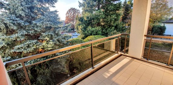 Luminoso 4.5 locali immerso nel verde con camino - Photo 2