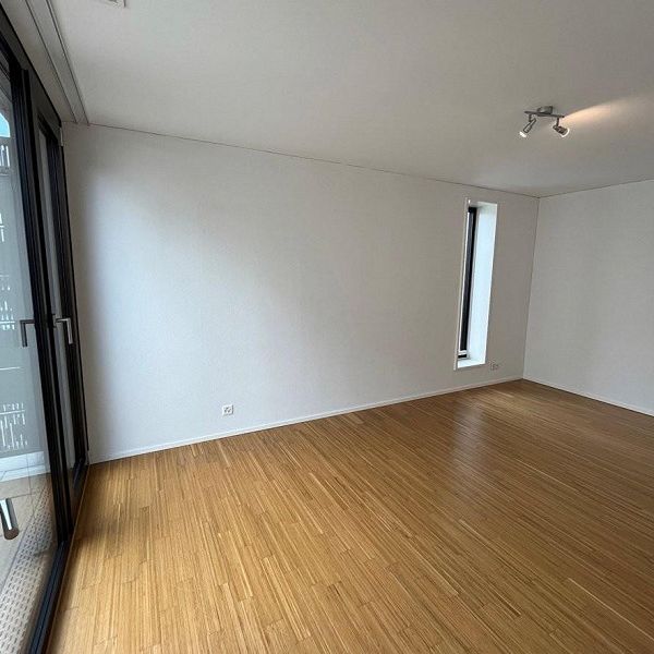 2.5-Zimmerwohnung in Windisch mieten - Photo 1