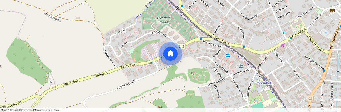 3400, Burgdorf, Bernstrasse, 133