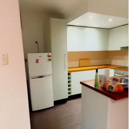 392 Jones St, Sydney - Photo 4