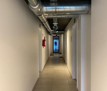 't Hoge 11 - Photo 1