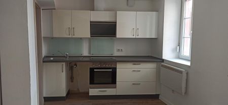 Location Appartement 1 pièce 16m² WISSEMBOURG 67160 - Photo 2