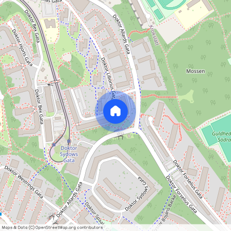 Guldheden, Göteborg, Västra Götaland, Doktor Liborius Gata 28