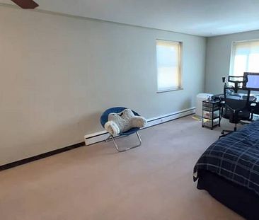 1 ~ Bed Studio Safe Neighborhood/Few Minutes to U of T-Parking Avail - Photo 4