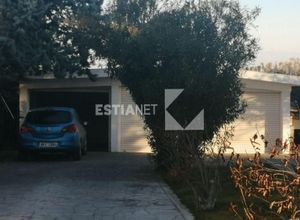 Μονοκατοικία για ενοικίαση - Θερμαϊκός, - Φωτογραφία 5