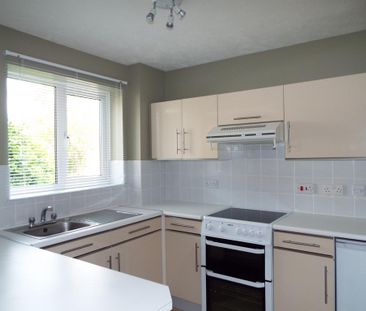 1 bedroom house to rent - Photo 5