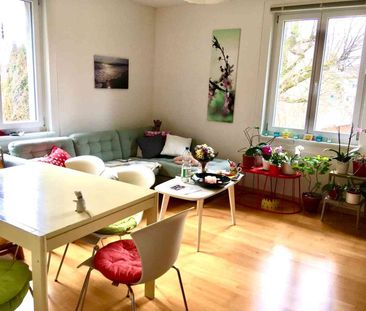 4 Zimmer, 78 m², EG - Photo 1