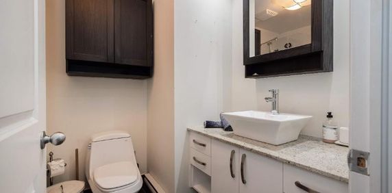 2 CH - 1 SDB - Montréal - $3,095 /mo - Photo 2