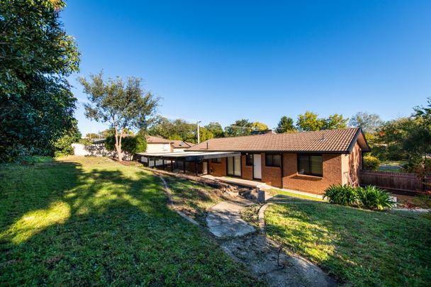 33 Buggy Crescent, McKellar ACT 2617 - House For Rent | Domain - Photo 1