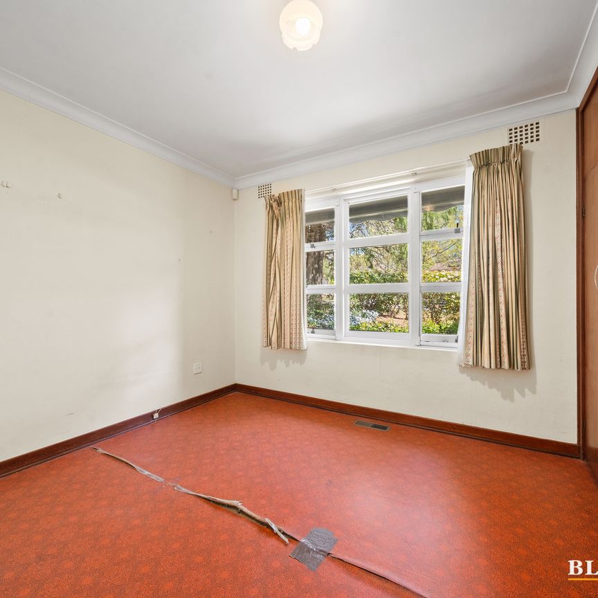 15 Hodgkinson Street, Griffith ACT 2603 - House For Rent | Domain - Photo 1