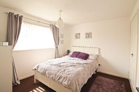 1 bedroom cluster house to rent - Photo 3