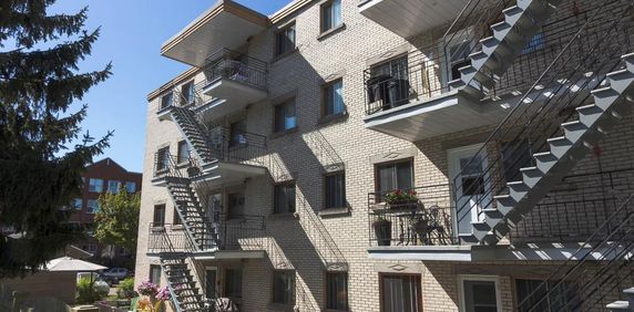 5 1/2 Ste-Foy - UNIVERSITÉ \CEGEP juillet - Photo 2