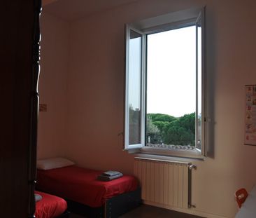 Via del Ponte Rosso, Florence, Tuscany 50129 - Photo 6