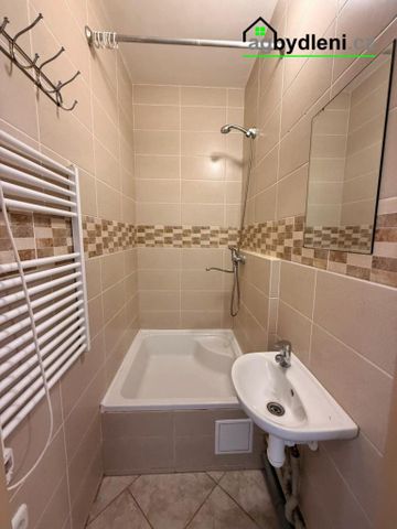 Pronájem bytu 2+1 60 m2 - Photo 3