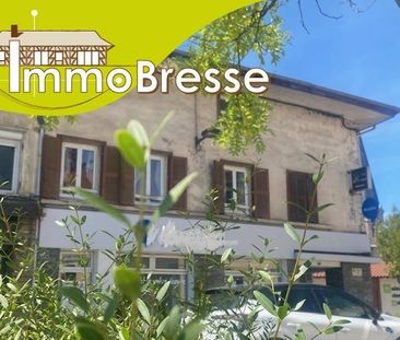 Location Appartement 2 pièces 47m² MONTREVEL EN BRESSE 01340 - Photo 4
