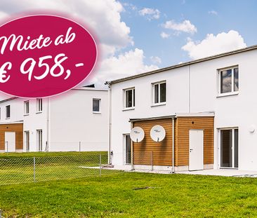 Reihenhaus in Heidenreichstein - Foto 6