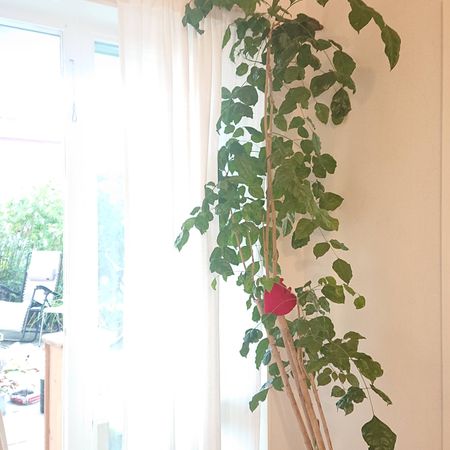 Veronikagränd, Tyresö - Photo 4