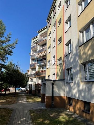 Przytulny pokój 12m2(+23m2+9m2) ul.Naramowicka,Pń - Photo 2