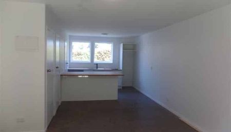 Cozy Studio Flat has been well loved!! - Photo 5