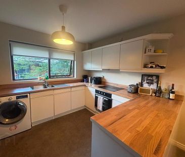 17 Ashleigh Manor, Belfast, BT9 6JY - Photo 4