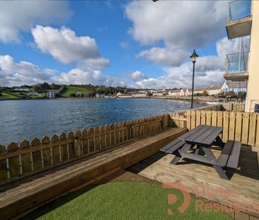 Apt 34 The Quays, Killyleagh, BT30 9GB - Photo 2