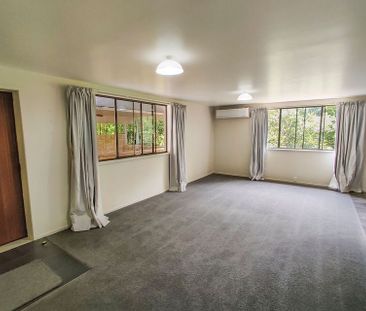 Large bottom floor apartment. 500m to Havelock CBD - Photo 1