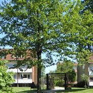 Gröna Gatan 5 B, 34236, ALVESTA, Sverige - Photo 2