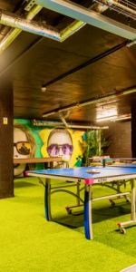 Platinum Studio with Terrace - Photo 4