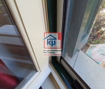 Διαμέρισμα για ενοικίαση Αγία Ειρήνη (Λέσβος - Μυτιλήνη) - Φωτογραφία 1