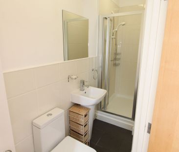 Studio Apartment – To Let - Photo 3