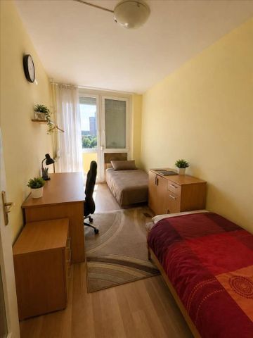 Kiadó lakás - Pécs - Fotó 5