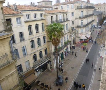 Location appartement 2 pièces 36.34 m² à Montpellier (34000) - Photo 1