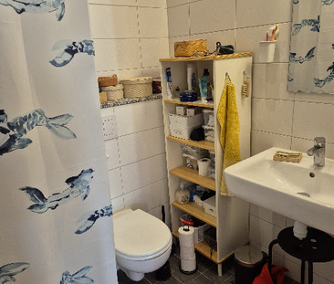 Sidenbigatan, Uppsala - Photo 5