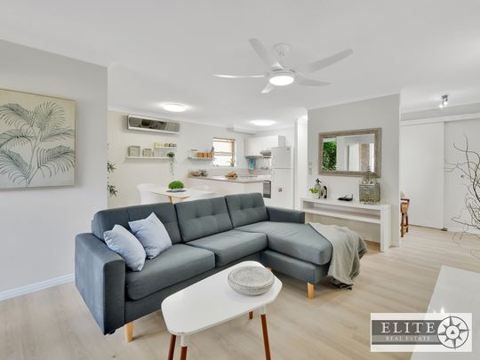 3/124 Carmody Road, St Lucia QLD 4067 - Apartment For Rent | Domain - Photo 1