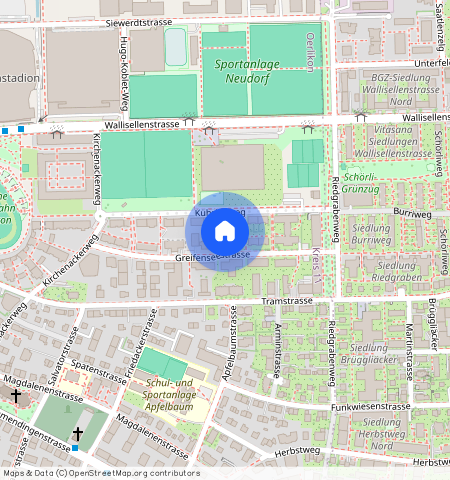 Greifenseestrasse **, 8050 Zürich